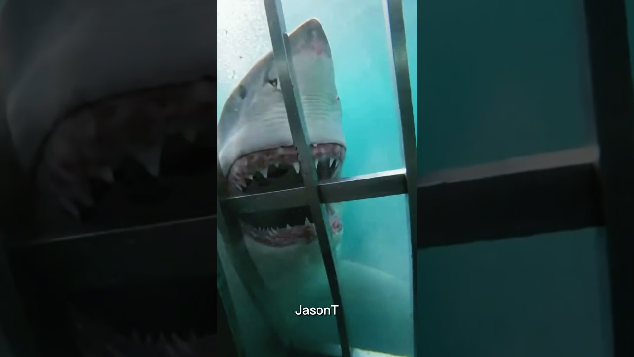 Have You Ever Experienced That? 