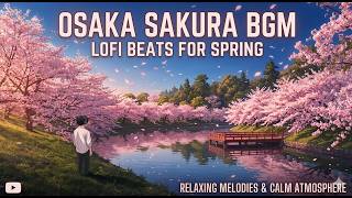 🌸 Osaka Sakura Park BGM | Relaxing Lo-fi & Piano under Cherry Blossoms | Japan Spring | 43 min screenshot 2