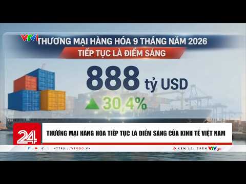 Merchandise trade remains a bright spot for Vietnam's economy | VTV24
