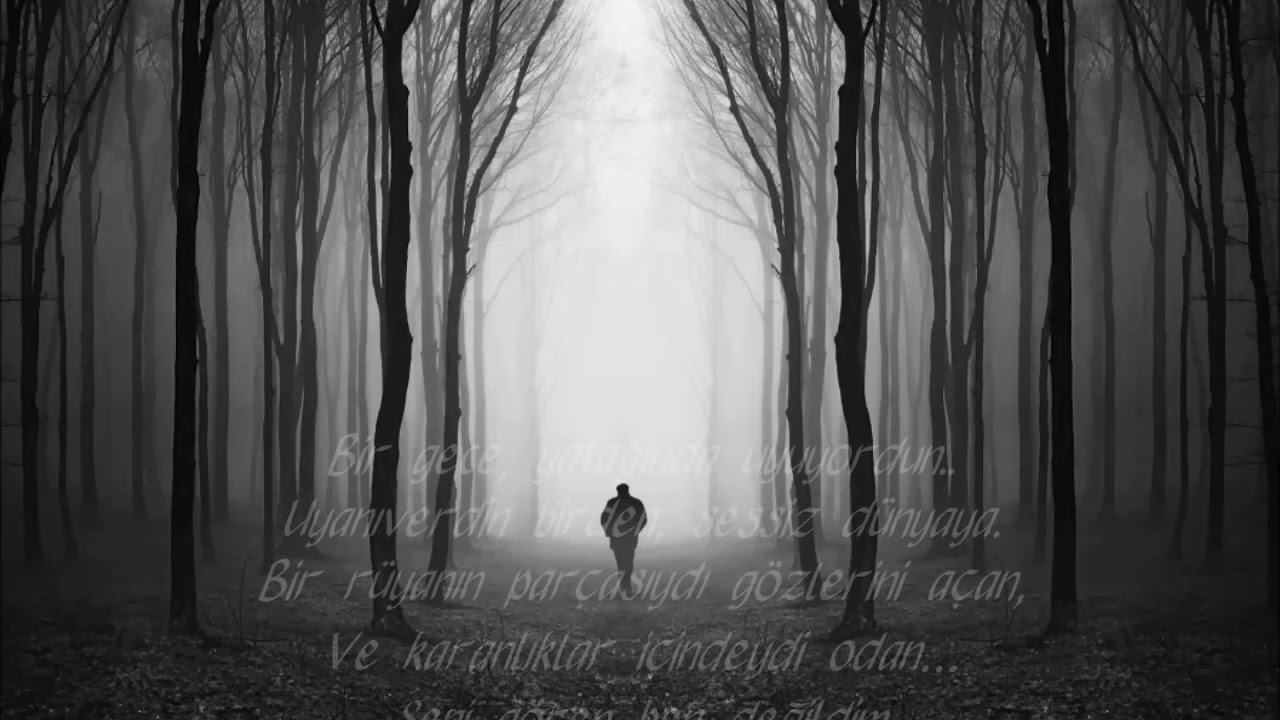 Ben Değildim. Özdemir ASAF