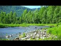 Calming river sounds in mountains | Gentle white noise of mountain stream (10 hours)