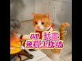 零基礎也能完成動畫故事?AI 動書創作分享會預告|11月29日 Zoom 線上直播