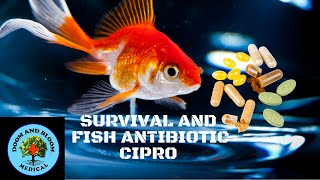 Fish Antibiotics: Cipro