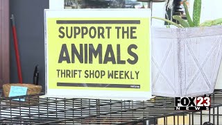 Video: Broken Arrow animal rescue asks for community's help amid recent challenges
