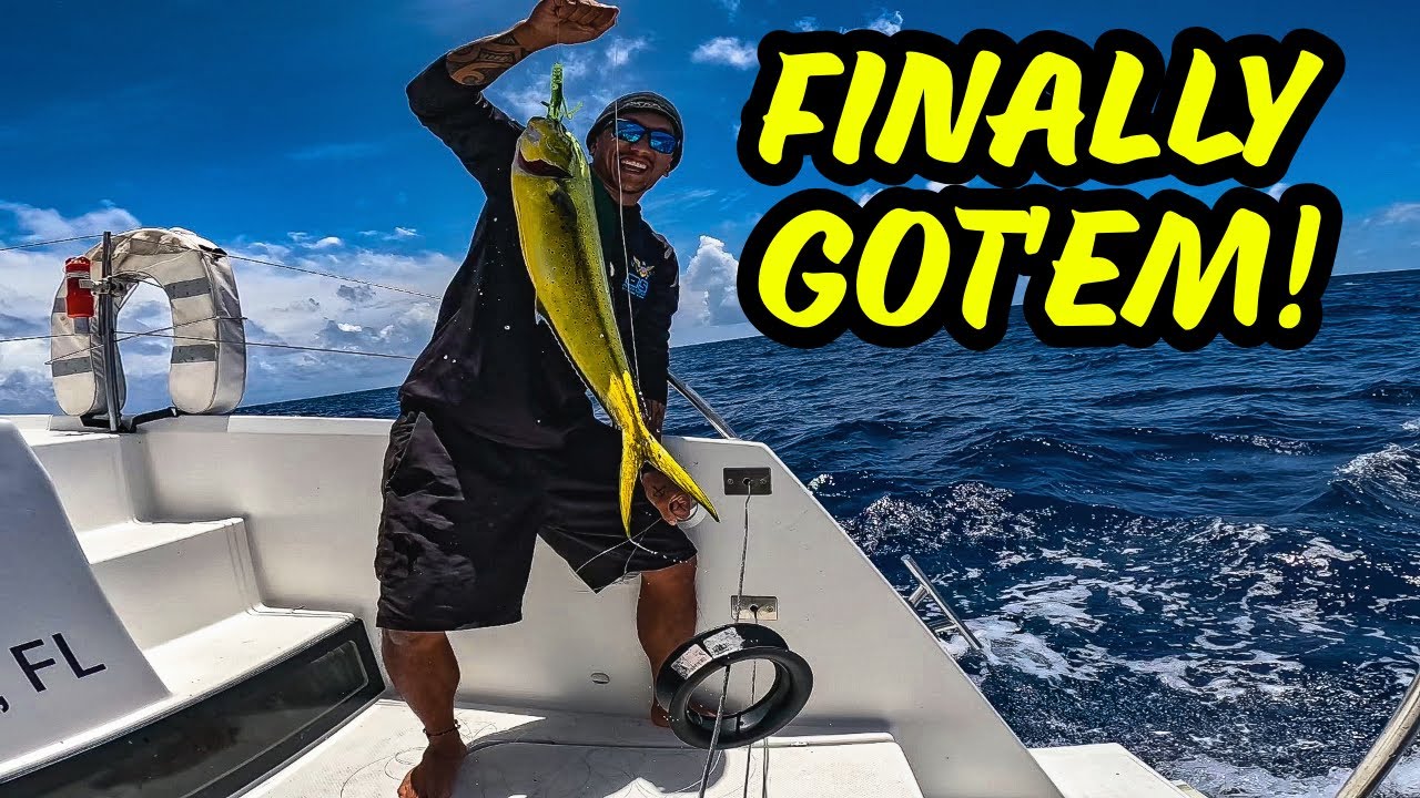 We got a FISH FRENZY on passage | Grenada Sailboat Delivery - YouTube