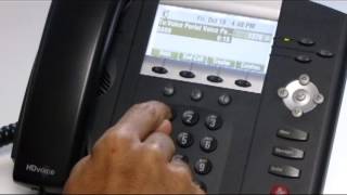 Tierzero Hosted Cloud PBX Voicemail Instructions