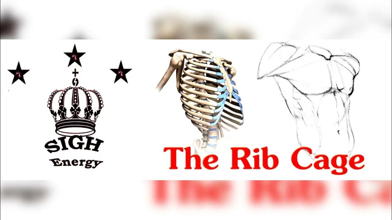 Rib Cage Healing and Regeneration EXTREMELY POWERFUL!!!(Energetically