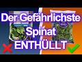 Kauft keinen Spinat in diesen 11 deutschen Supermärkten(hier erfährst du, wo du ihn kaufen solltest)