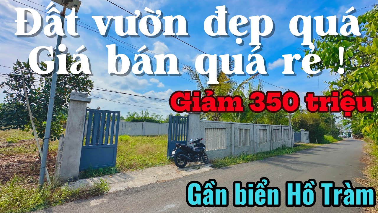 #606 Chủ ngợp ! Giảm giá 350 triệu đất vườn Xuyên Mộc, BRVT cách cao tốc Hồ Tràm 4km | 20m mặt tiền