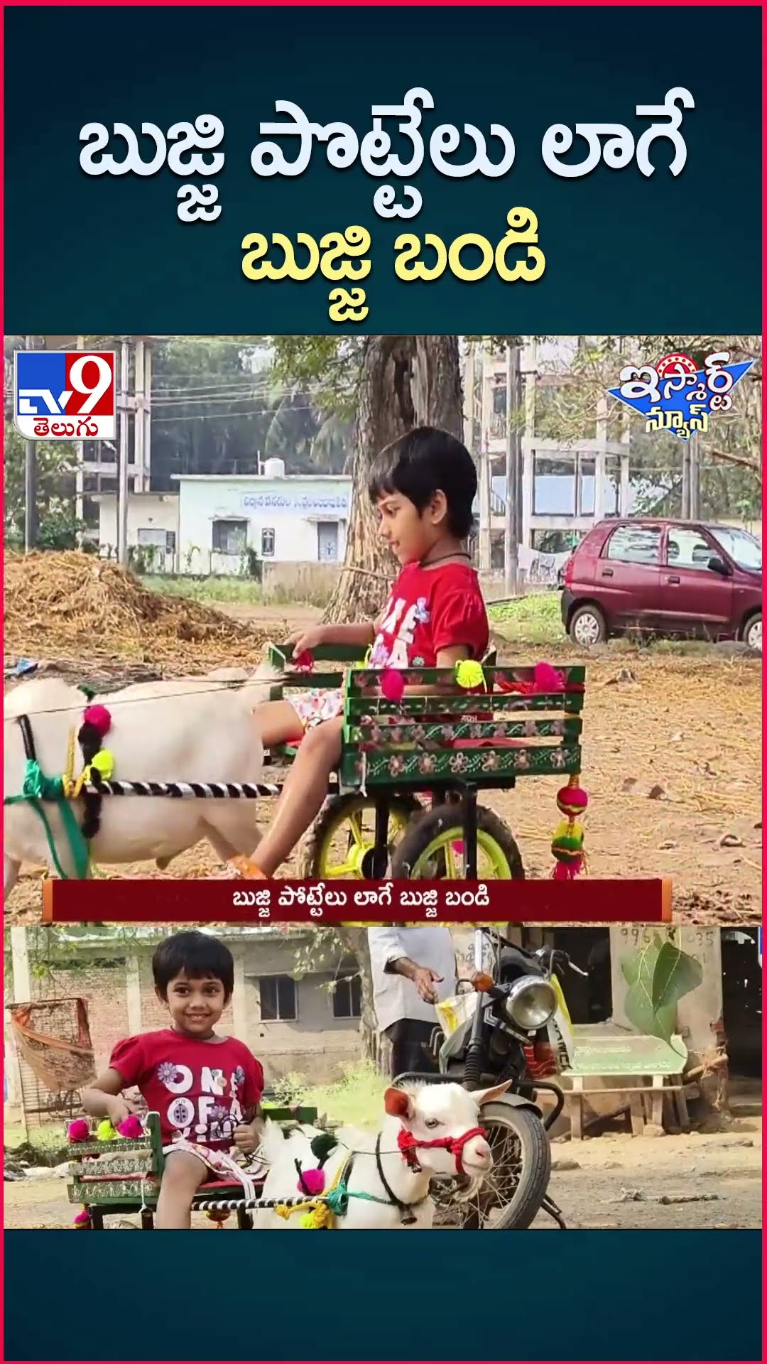 iSmart News : బుజ్జి పొట్టేలు లాగే బుజ్జి బండి - TV9