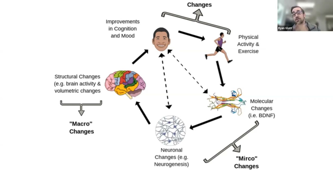 Your Brain and Exercise for Parkinson’s Disease with Ryan Glatt, MS, CPT, NBC-HWC