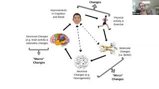 Your Brain and Exercise for Parkinson’s Disease with Ryan Glatt, MS, CPT, NBC-HWC
