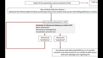 [HR]Video abstract: Ultrasonography in surveillance for HCC in patients with NAFLD