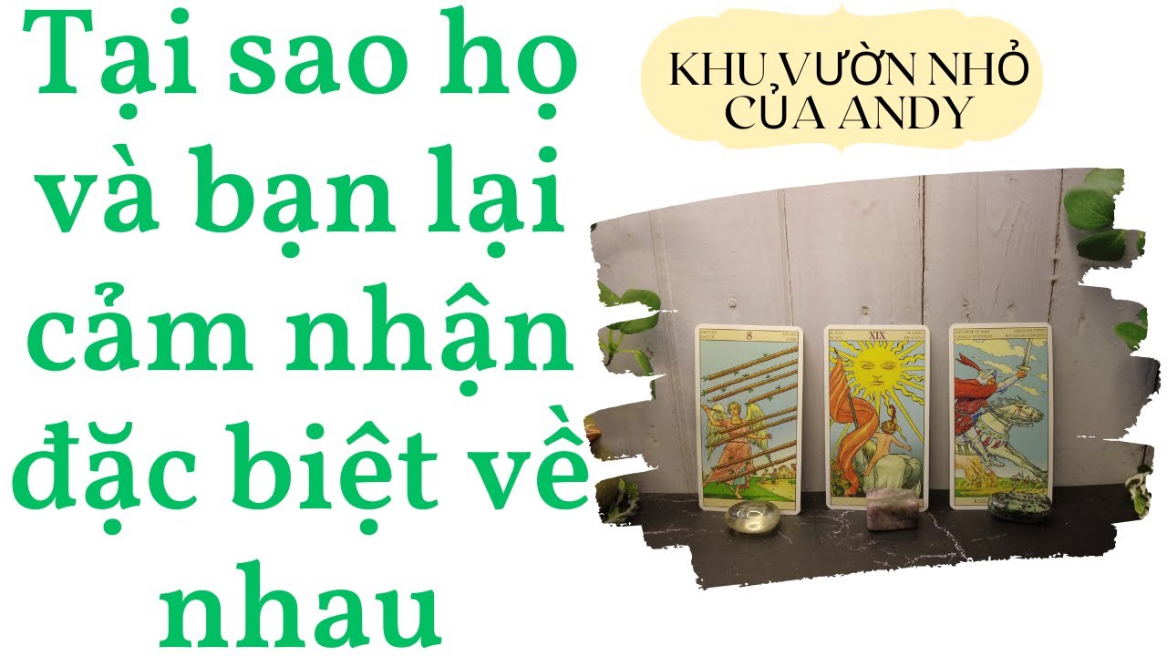 Tại sao bạn và họ lại cảm nhận đặc biệt về nhau {Crush/NYC/NYHT} | Chọn 1 tụ bài | Xem tarot