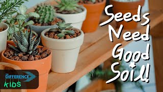 Seeds Need Good Soil! screenshot 3