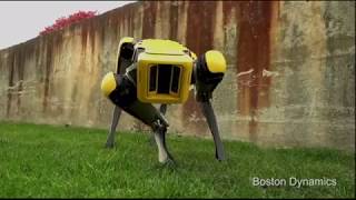 [Firstdiy]Boston Dynamics' New SpotMini robot dog