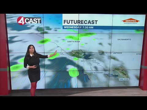 Bay Area Rain