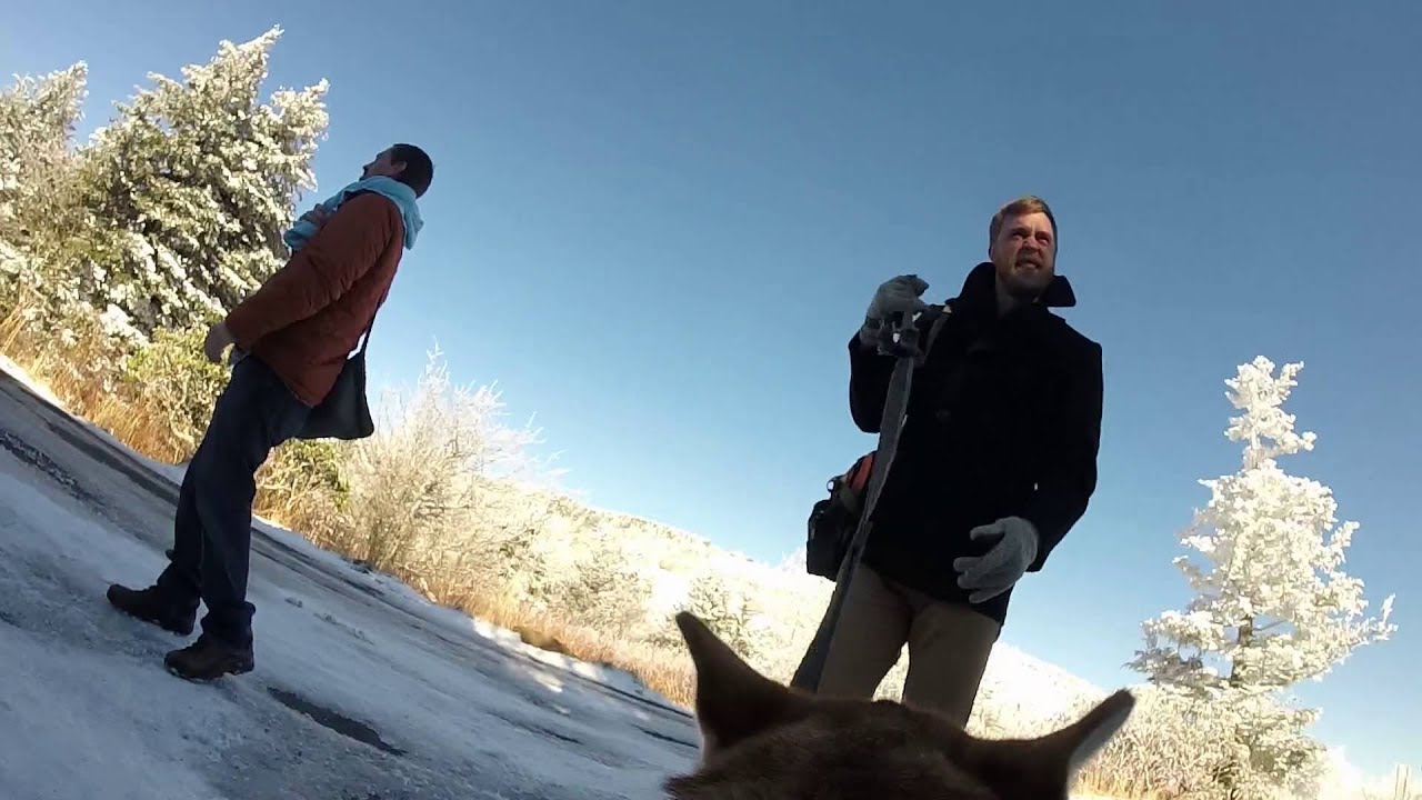 GoPro: Our Snowy Wedding (from our dog's perspective)