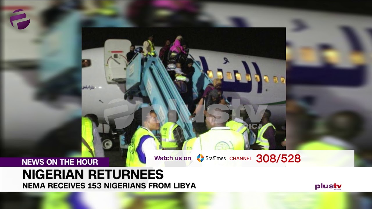 nigerian scammer caught NEMA Receives 153 Nigerians from Libya