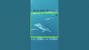 How GPU Works (Recommandations in Full Video)#GPU #GraphicsCard #PCBuild #GamingPC #PCTech #Hardware