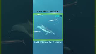 How Gpu Works Recommandations In Full Video