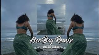 Deep N Wine X Boom Bye Bye X Slippery When Wet [AceBoy AfroJive Mashup] 2024