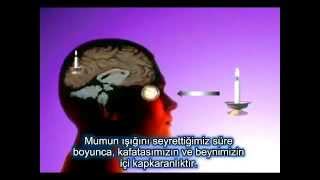 Milyonda Bir Kişinin Anladığı (Maddenin Ardındaki Sır)