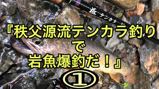 秩父源流テンカラ釣りで岩魚爆釣!① 秩父源流テンカラ釣りで岩魚爆釣!①