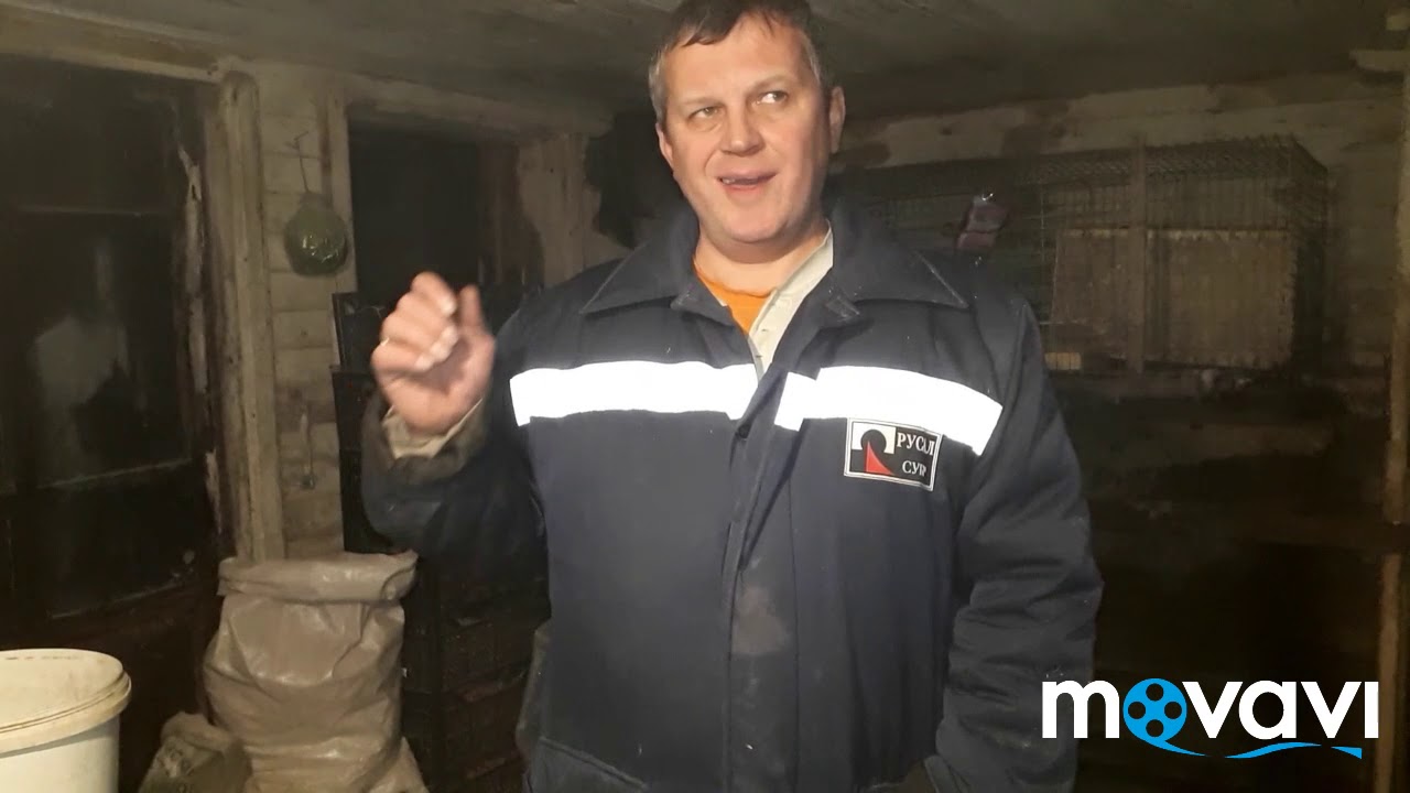 Крольчихи не идут в охоту в осенне-зимний период