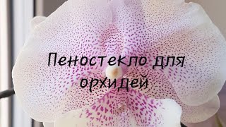 видео: Пеностекло для орхидей. Мой опыт. Как растёт орхидея в пеностекле. Неорганический грунт для орхидей. картинка: Пеностекло для орхидей. Мой опыт. Как растёт орхидея в пеностекле. Неорганический грунт для орхидей.