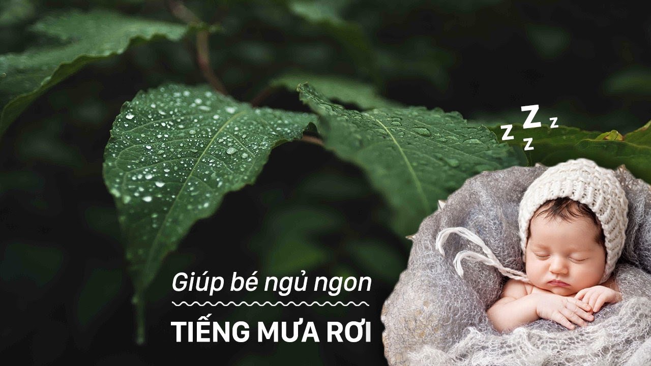 [3 HOURS] Tiếng Mưa Rơi Giúp Bé Ngủ Ngon, Chơi Ngoan _... - youtube