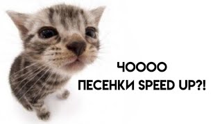 комфортные песни speed up,под которую можно делать дз и так далее☆