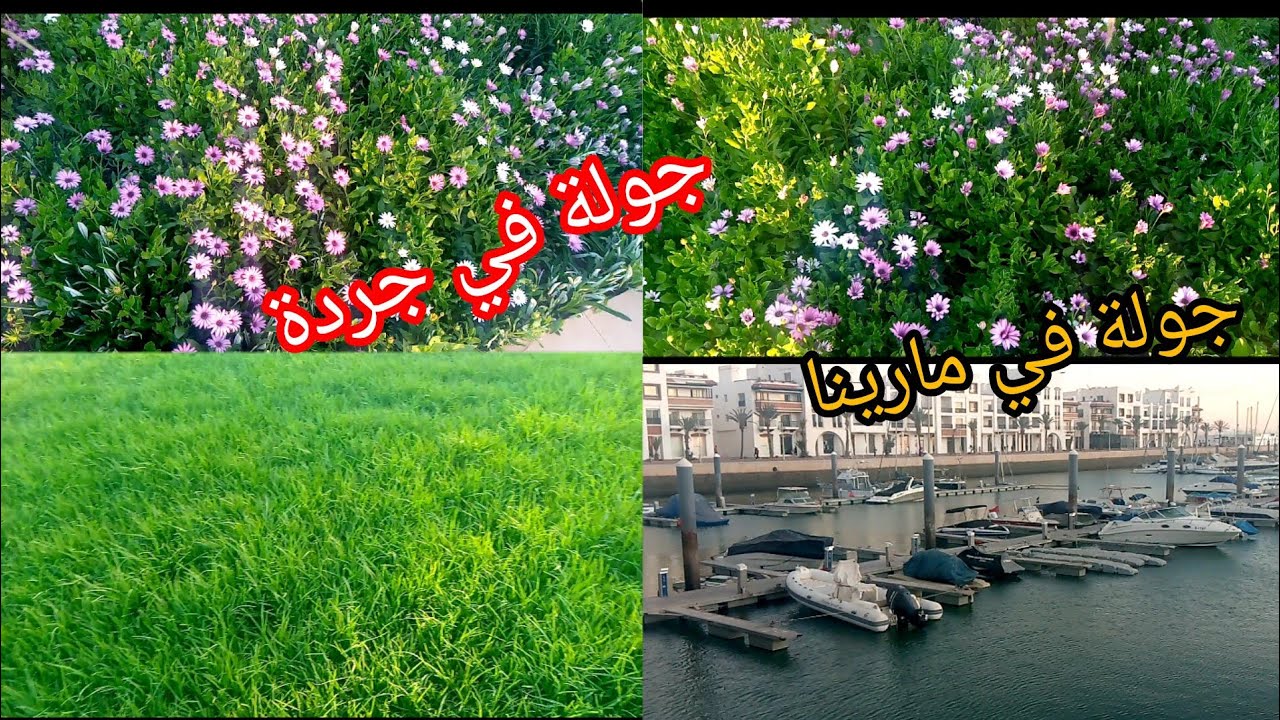 جولة رائعة وجميلة في جردة🌹 وشاركت معكم جولة في مارينا