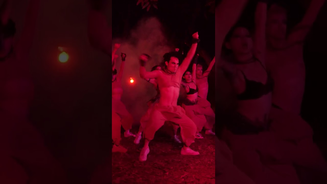 Focus Soleck cam | Zoo Project 