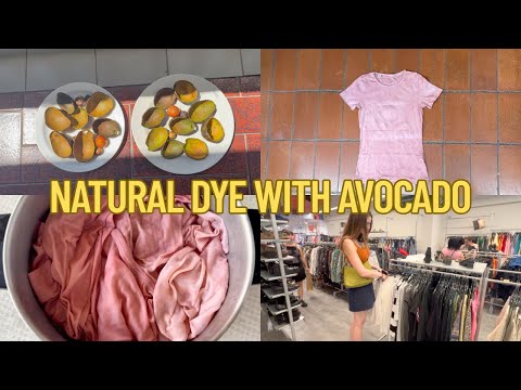 Making natural dye with avocado 🥑