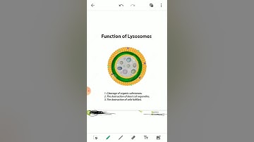 ClassIX Science 13_04_2020 by Mrs Mridulata Upadhyay