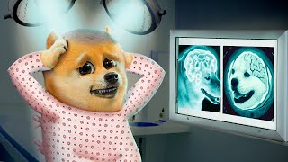 :     ! 