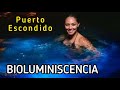 HOTEL VIVO RESORTS PUERTO ESCONDIDO OAXACA 2019 (Día 2 y 3) BIOLUMINISCENCIA