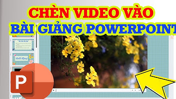 Cách chèn video vào bài giảng Powerpoint chỉ vài bước