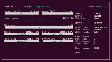 Cardano block minting Live capture.