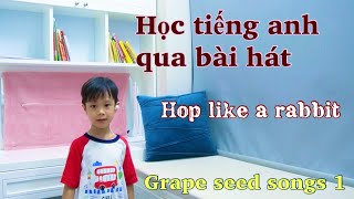 Gseed Songs 1- Hop Like A Rabbit Song- Học Tiếng Anh Cùng Sóc