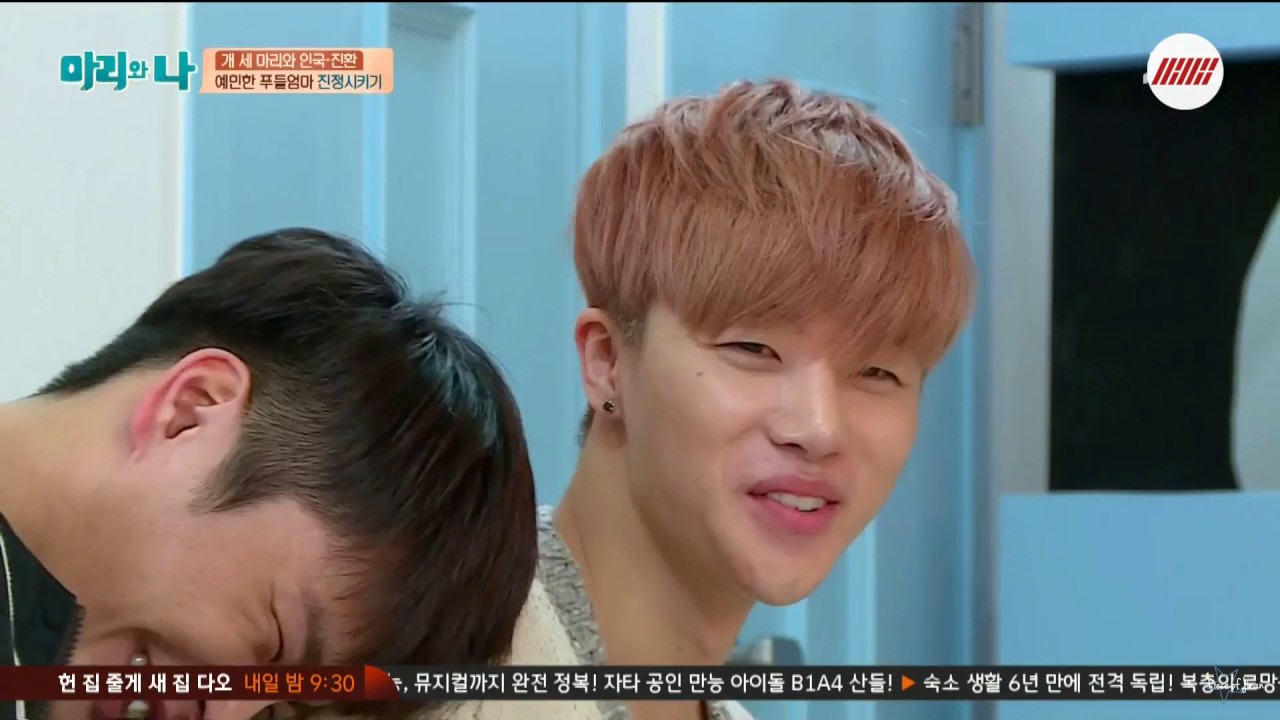 JINHWAN laugh compilation (Mari & I)