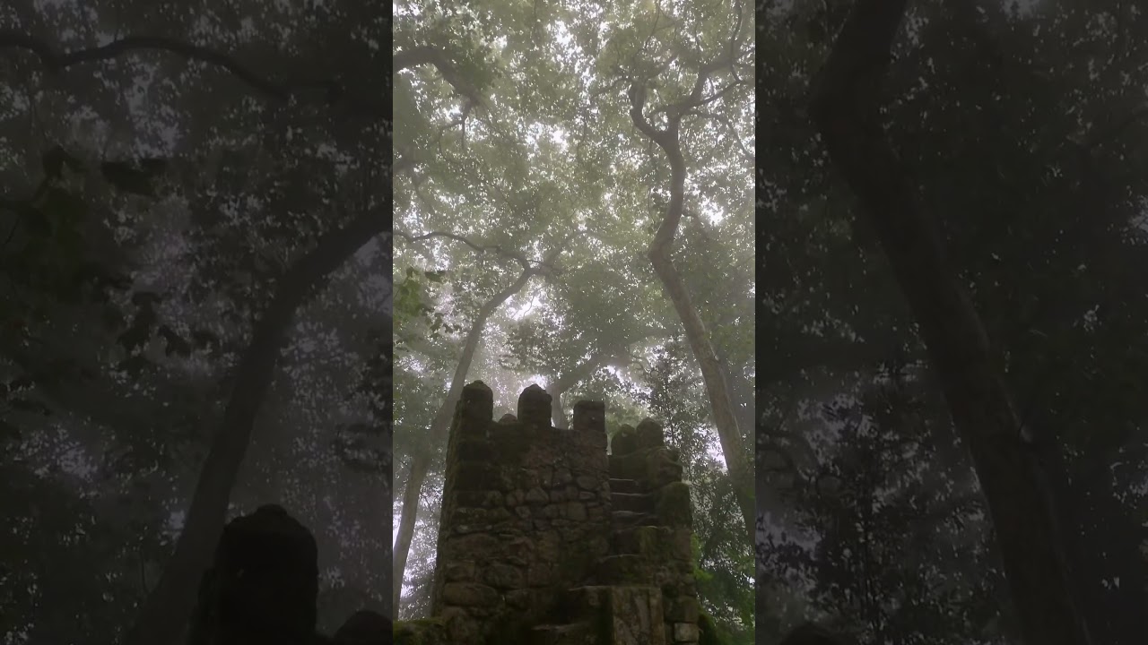 Mystical forest in Sintra