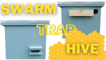 Swarm trap / bait hive FOR FREE BEES | BEEKEEPING