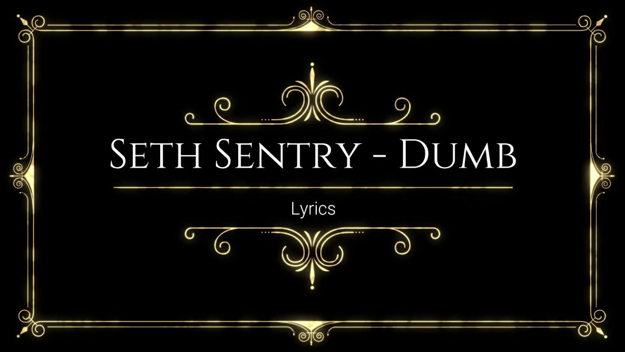Seth Sentry - I'm Dumb (Lyrics)