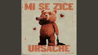 Mi Se Zice Ursache