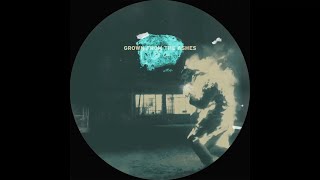 Héctor Oaks - Grown From The Ashes