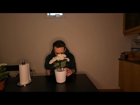Dusty flowers makes me explode in sneezes (M)