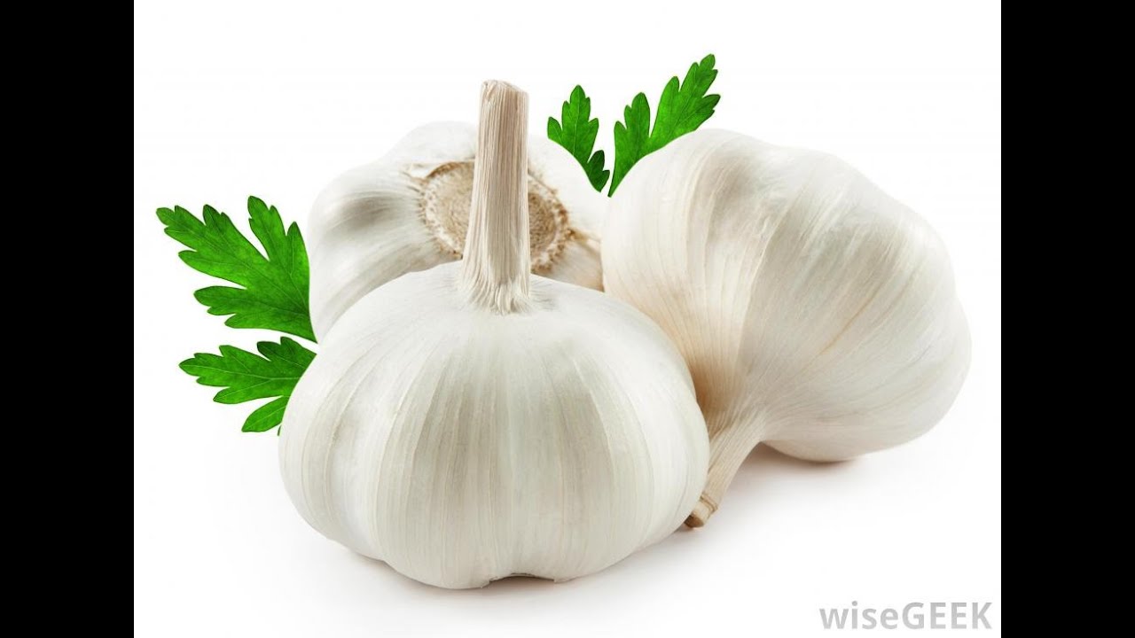 Gardening What Are Bulbs In Plants Garlic Corms Tubers And