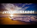 ¡Vive alineado! (Reflexión #28) - Ana Olondo